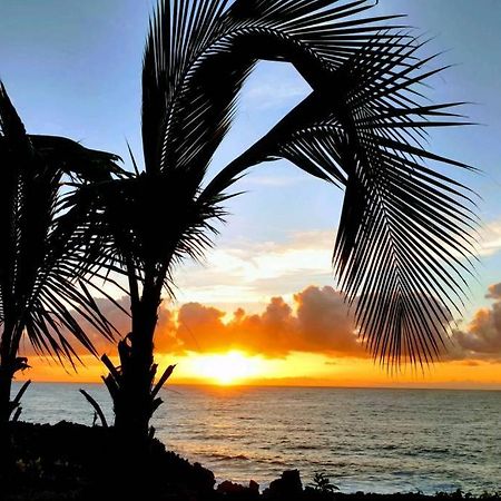 Pahoa Paradise Palms Exterior photo