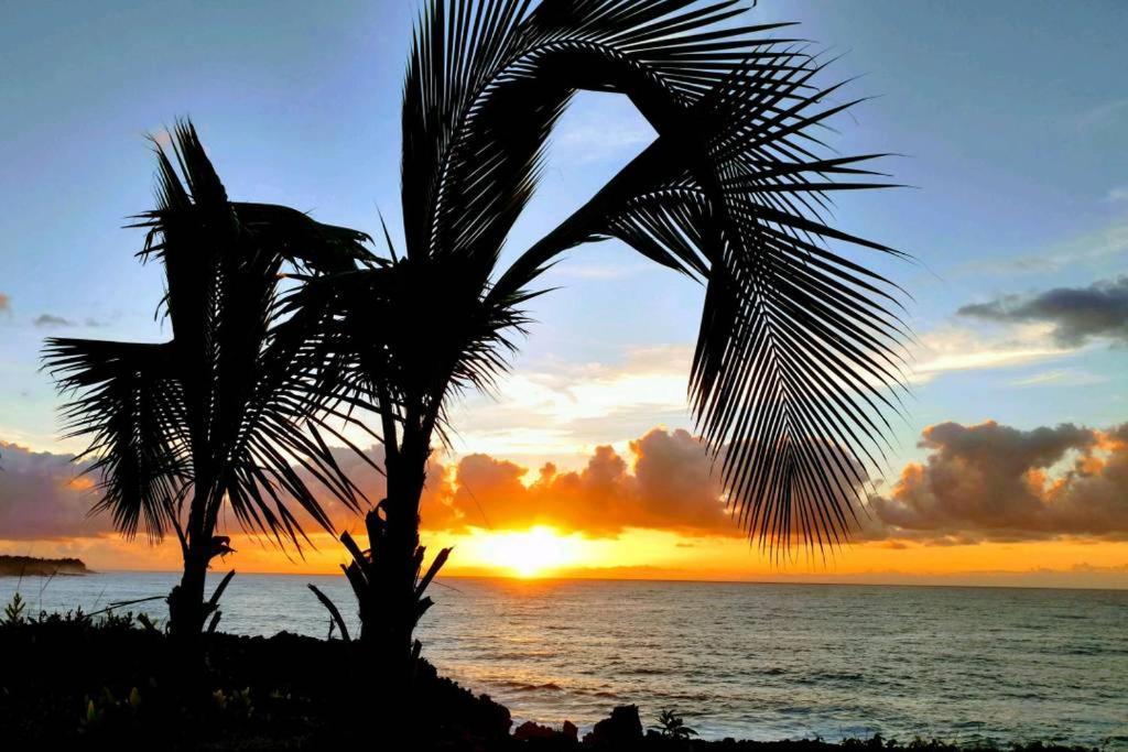 Pahoa Paradise Palms Exterior photo